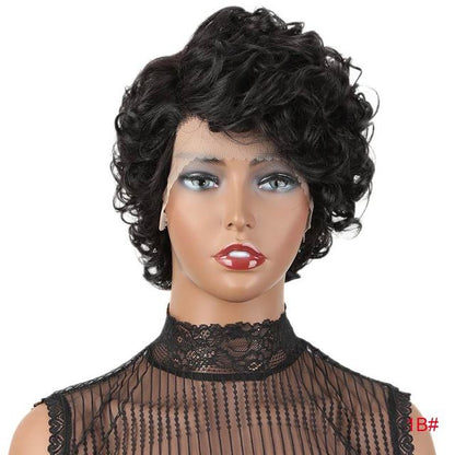 Wonderful Short Cute Pixie Lace Wigs Loose Curly Hair Peruvian Remy Lace Part Human Hair Wig For Women Black Brown Free Shipping